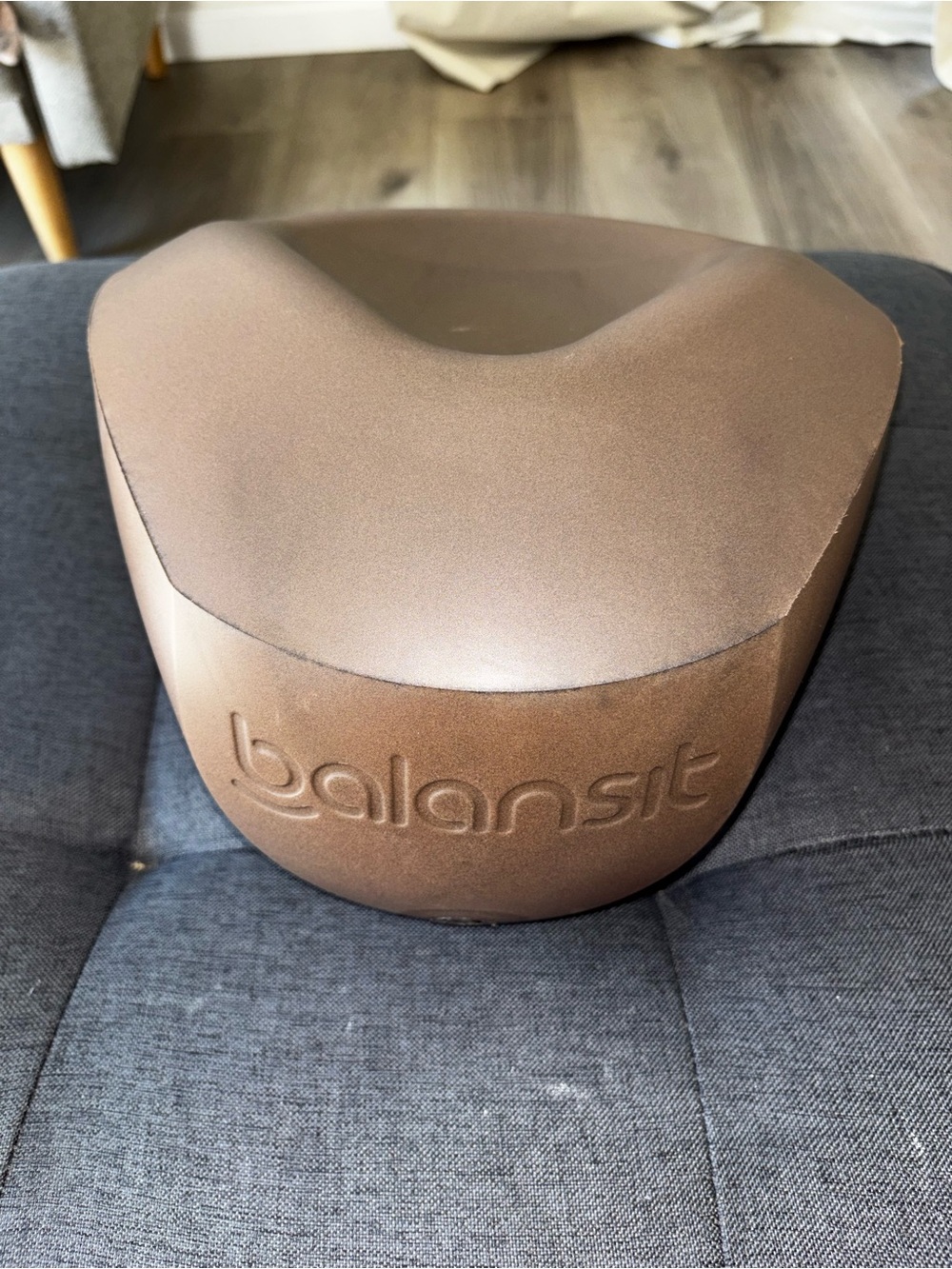 Balansit Seat Cusion Posture Control Pilates Workouts Lightweight Size M
